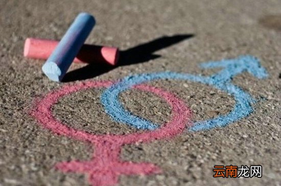 春季防病养生粥---白果冬瓜粥