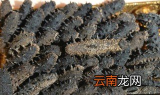 干海参怎样储存 干海参储存方法介绍