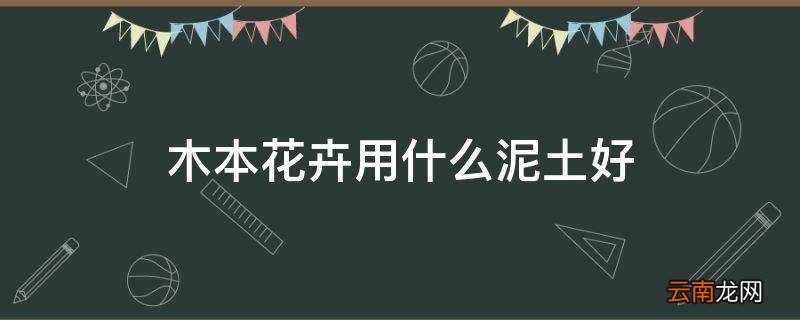 木本花卉用什么泥土好