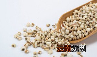 薏米炒多久怎样储存 薏米炒的时间和怎样储存