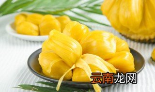 菠萝蜜果肉有褐色斑点还能吃吗 菠萝蜜果肉有褐色斑点还可以吃吗
