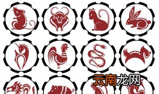 相破是什么意思，地支相破是什么意思