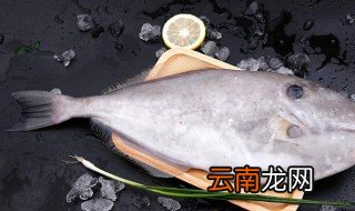 扒皮鱼是耗儿鱼吗 扒皮鱼资料