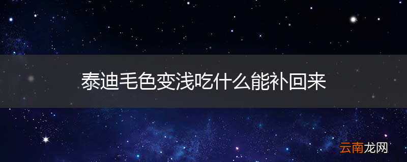 泰迪毛色变浅吃什么能补回来