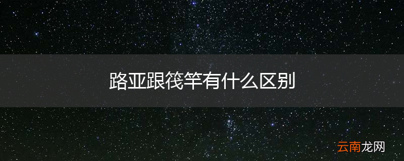 路亚跟筏竿有什么区别