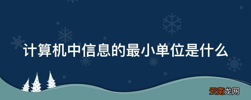 计算机中信息的最小单位是什么