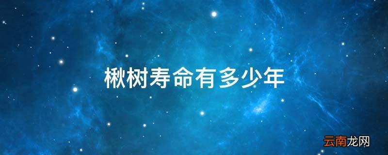 楸树寿命有多少年