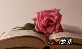 有关牛的故事 关于牛的故事精选