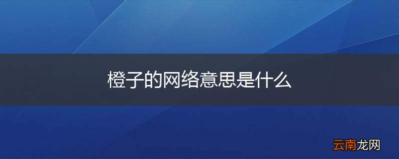 橙子的网络意思是什么