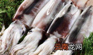 墨鱼怎么好吃 墨鱼如何做好吃