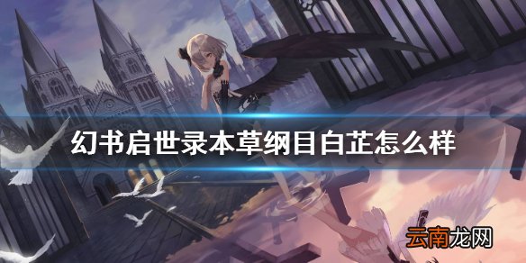幻书启世录白芷介绍 幻书启世录本草纲目白芷怎么样