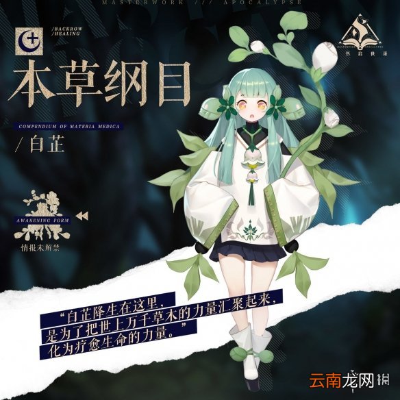 幻书启世录白芷介绍 幻书启世录本草纲目白芷怎么样