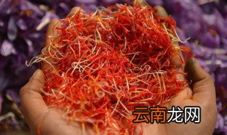 怎样储存藏红花 储存藏红花的做法