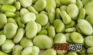 蚕豆宝宝能吃吗 宝宝可以吃蚕豆不