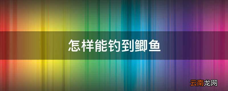 怎样能钓到鲫鱼