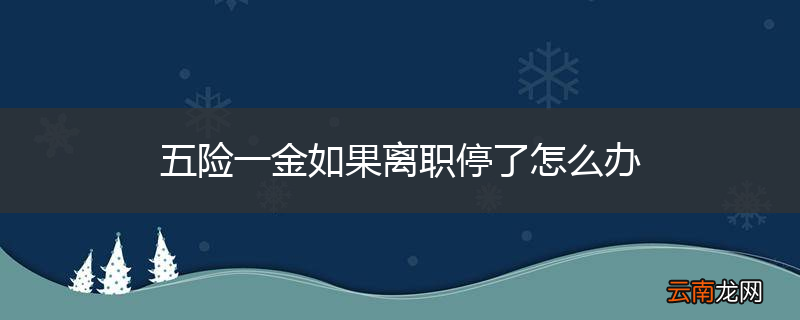 五险一金如果离职停了怎么办