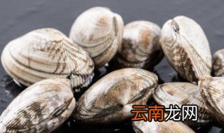 文哈怎么做好吃 文哈如何做好吃