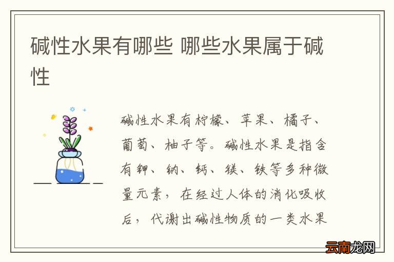 碱性水果有哪些 哪些水果属于碱性