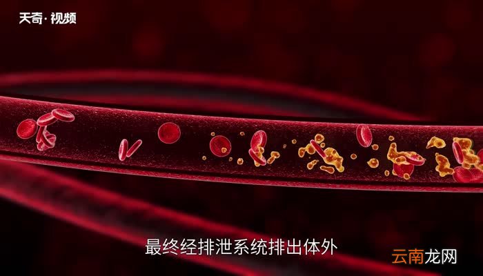 碱性水果有哪些 哪些水果属于碱性
