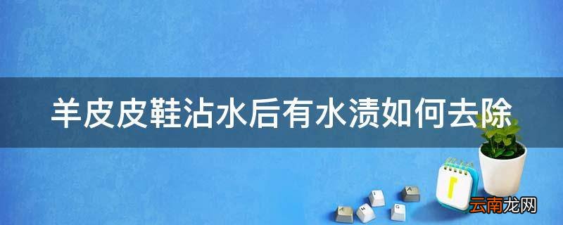 羊皮皮鞋沾水后有水渍如何去除