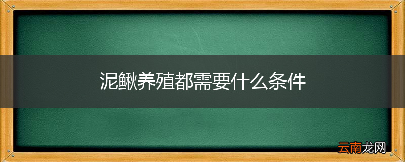 泥鳅养殖都需要什么条件