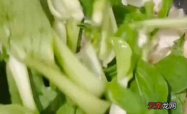 青菜豆腐怎么炒