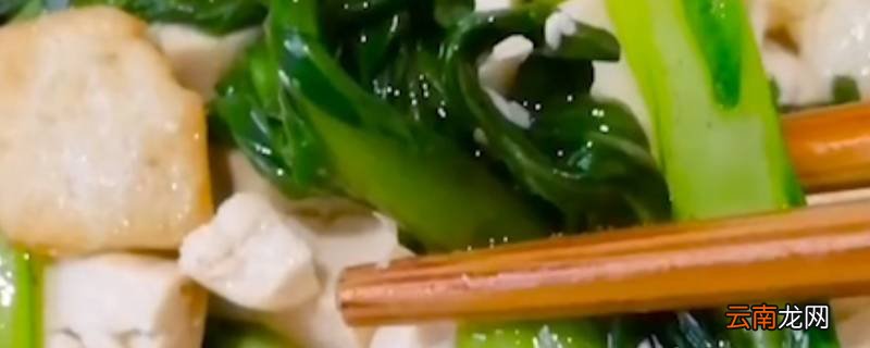青菜豆腐怎么炒