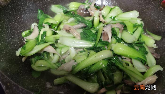 青菜炒蘑菇怎么做好吃