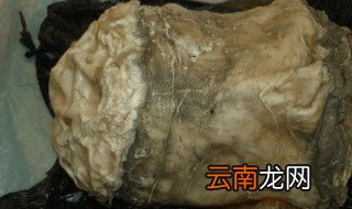 太岁是动物还是植物 太岁是一种什么东西,是植物吗?