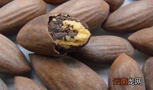 榧子的药用功效有哪些