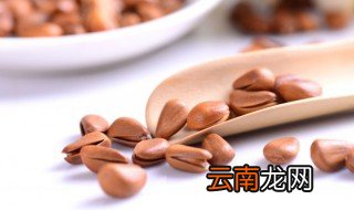 松树是裸子植物还是被子植物 松树属于裸子植物吗?