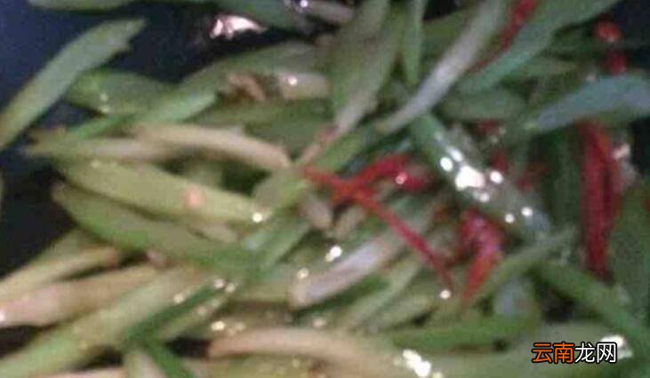 芹菜素炒怎么做好吃