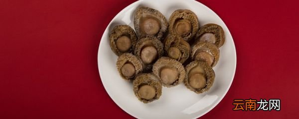 杀好的鲍鱼隔夜保存 杀好的鲍鱼隔夜怎么保存