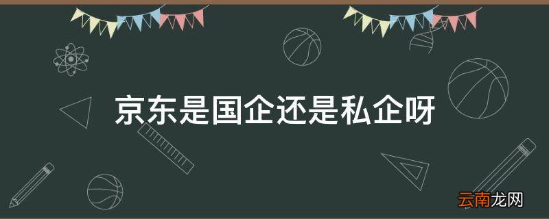 京东是国企还是私企呀