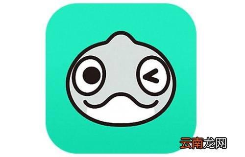 Faceu激萌出现网络异常原因以及解决方法