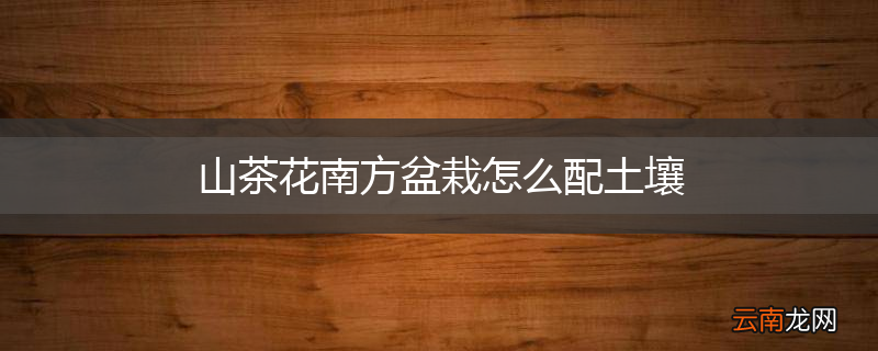 山茶花南方盆栽怎么配土壤
