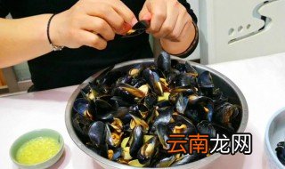 海红是动物还是植物，海绵是动物还是植物