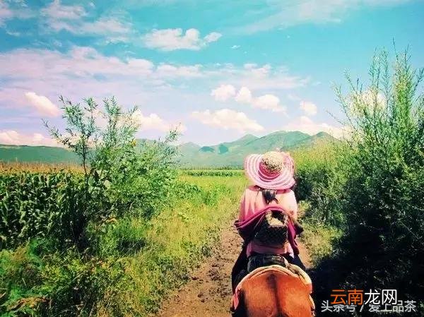 茶，就是一碗顿悟汝心的汤