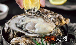 生蚝冰冻可以保存多久，生蚝冰冻可以保存多久能吃