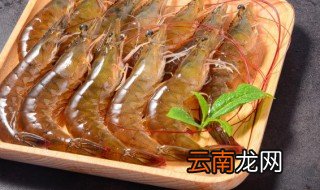 对虾是淡水还是海水虾 对虾属于海里的吗