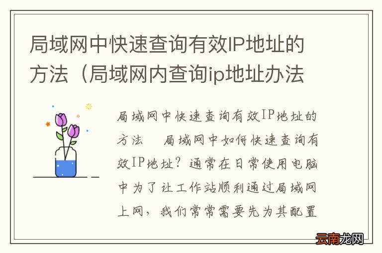 局域网内查询ip地址办法 局域网中快速查询有效IP地址的方法