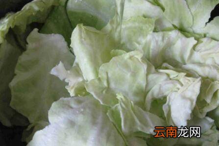 手撕包菜怎么炒