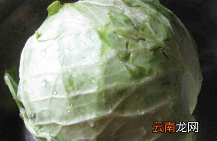 手撕包菜怎么炒
