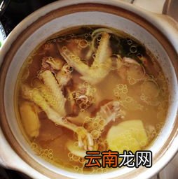 炖鸽子汤的最佳配料,炖鸽子要用啥配料比较香