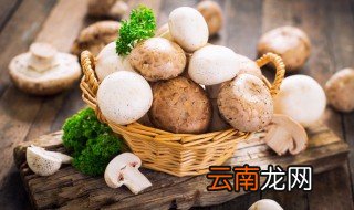 蘑菇类的算酸性食物还是碱性食物