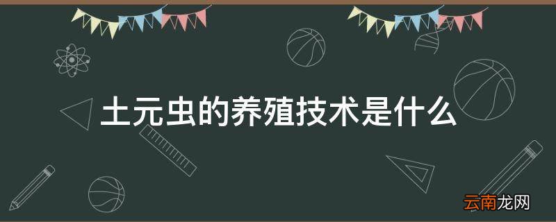 土元虫的养殖技术是什么