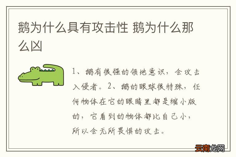 鹅为什么具有攻击性 鹅为什么那么凶