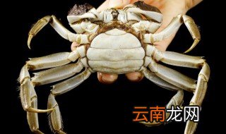 螃蟹绑起的放冰箱冷藏室能成活多久 螃蟹绑起的放冰箱冷藏室能成活的时间