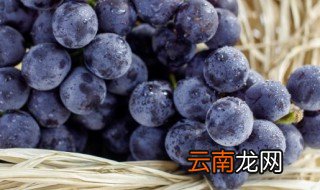 葡萄冷冻可以保存多久 葡萄冷冻能保存多久