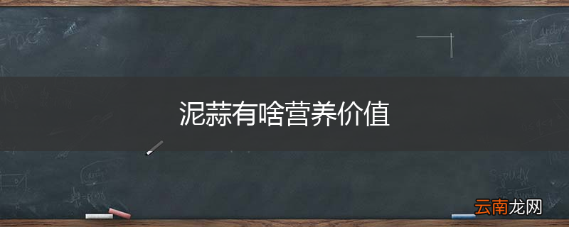 泥蒜有啥营养价值
